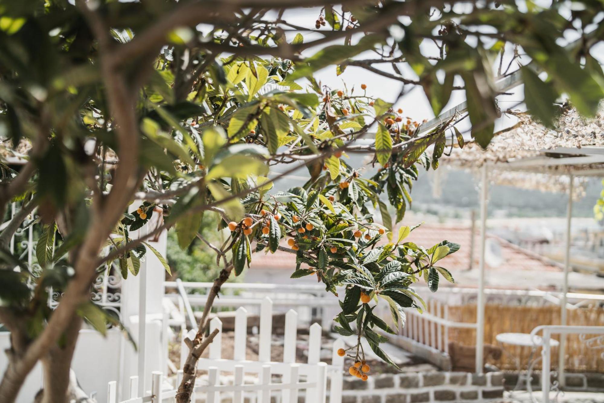 The Garden House Apartment Kavala Exterior photo